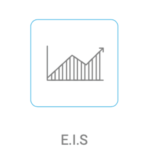 Embalsoft ERP - E.I.S